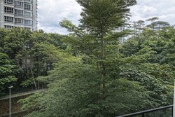 Blk 127C Kim Tian Green (Bukit Merah), HDB 3 Rooms #528874521